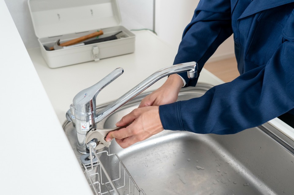 AdobeStock_391213161